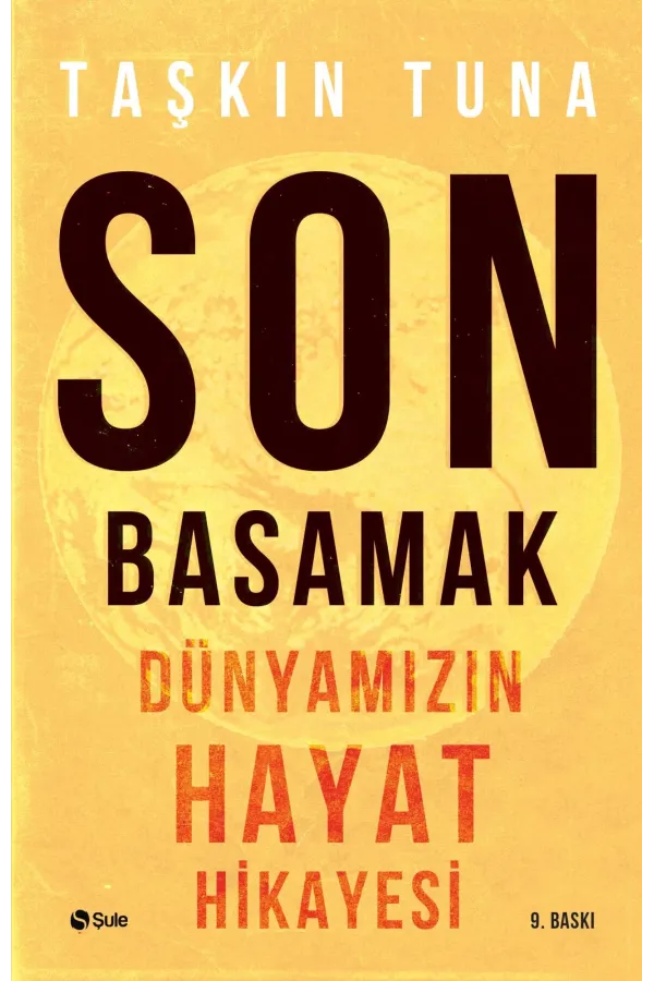 Son Basamak