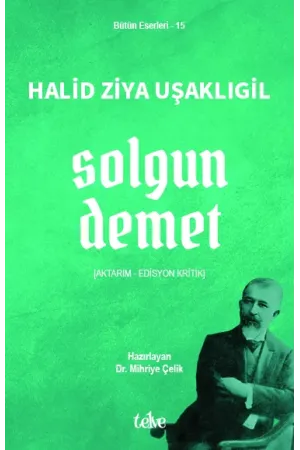 Solgun Demet