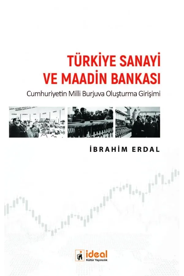 Türkiye Sanayi ve Maadin Bankası