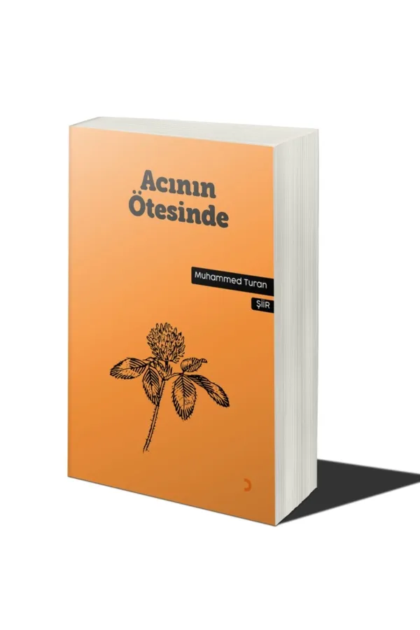 Acının Ötesinde