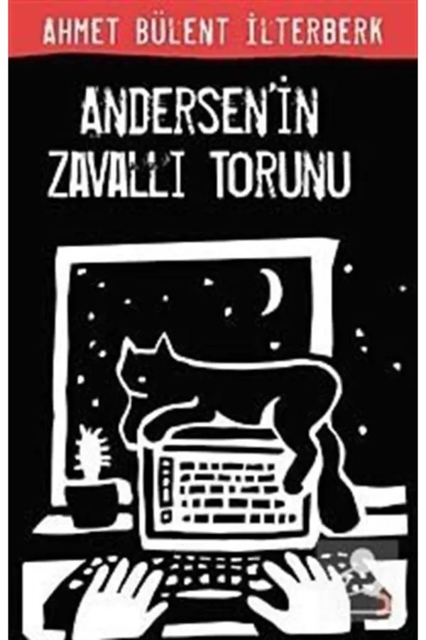 Andersen'in Zavallı Torunu