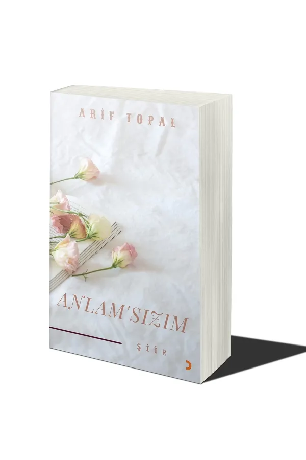 Anlamsızım