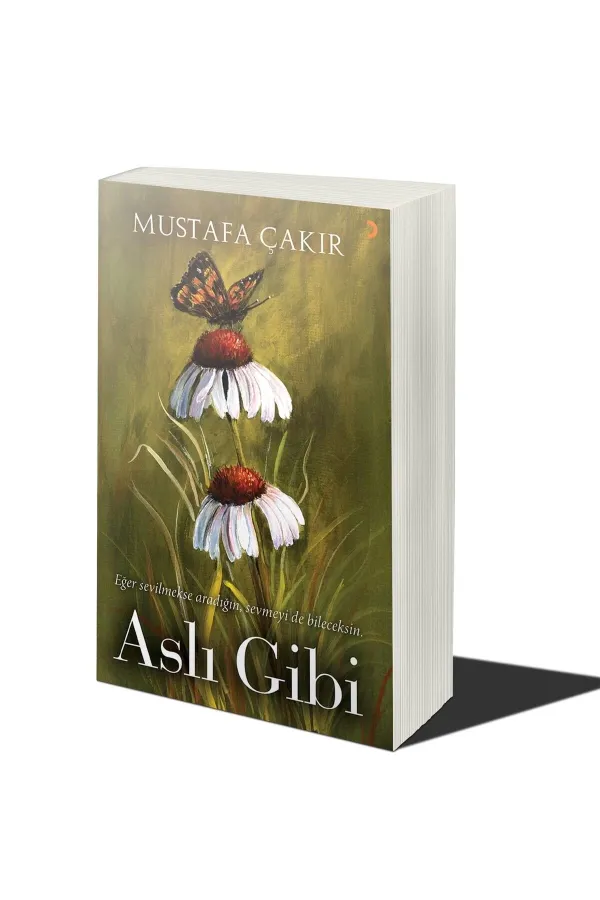 Aslı Gibi