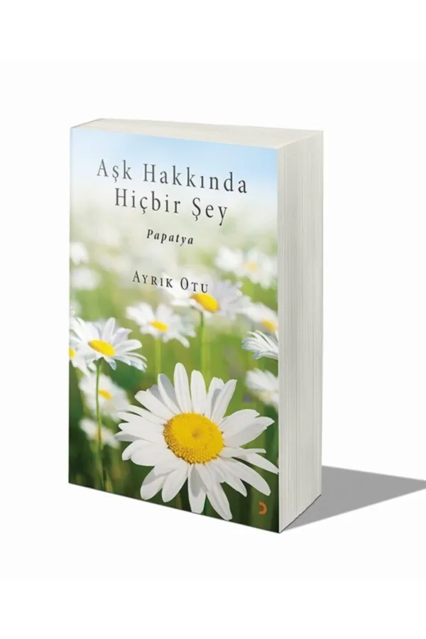 Aşk Hakkında Hiçbir Şey