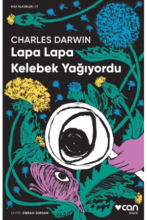 Lapa Lapa Kelebek Yağıyordu (Kısa Klasik)