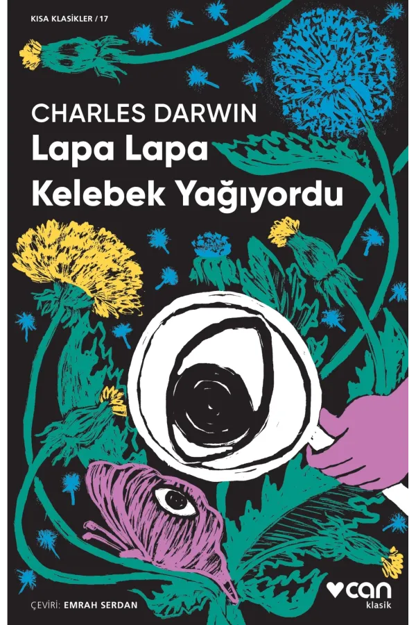 Lapa Lapa Kelebek Yağıyordu (Kısa Klasik)