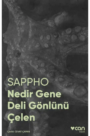 Nedir Gene Deli Gönlünü Çelen (Fotoğraflı Klasik)