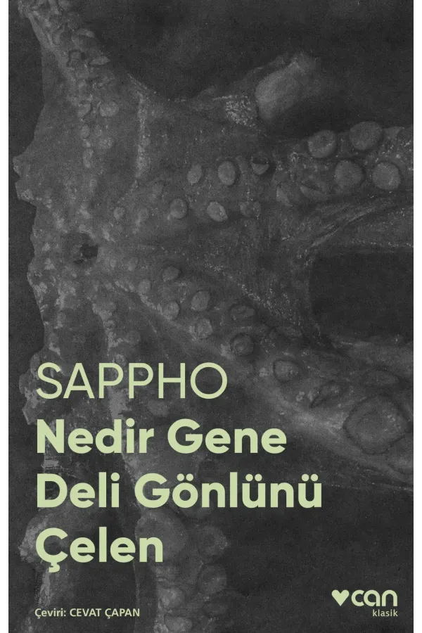 Nedir Gene Deli Gönlünü Çelen (Fotoğraflı Klasik)