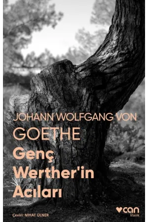 Genç Werther'İn Acıları (Fotoğraflı Klasikler)