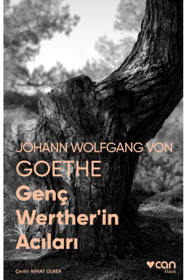 Genç Werther'İn Acıları (Fotoğraflı Klasikler)