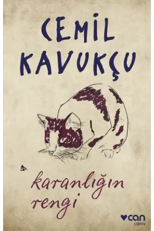 Karanlığın Rengi