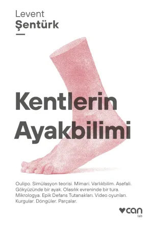 Türk Edebiyatı