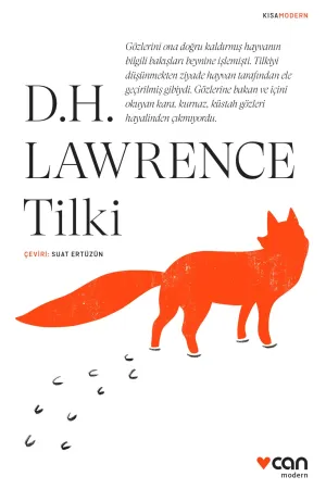Tilki