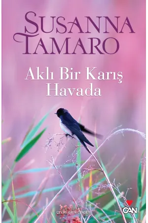 Aklı Bir Karış Havada