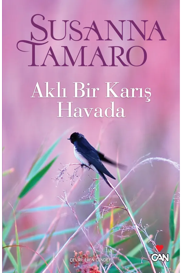 Aklı Bir Karış Havada
