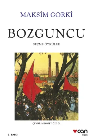 Bozguncu / Seçme Öyküler ( Yeni Beyaz Kapak)