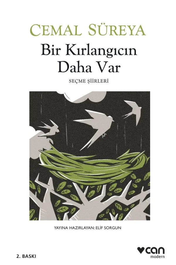Bir Kırlangıcın Daha Var