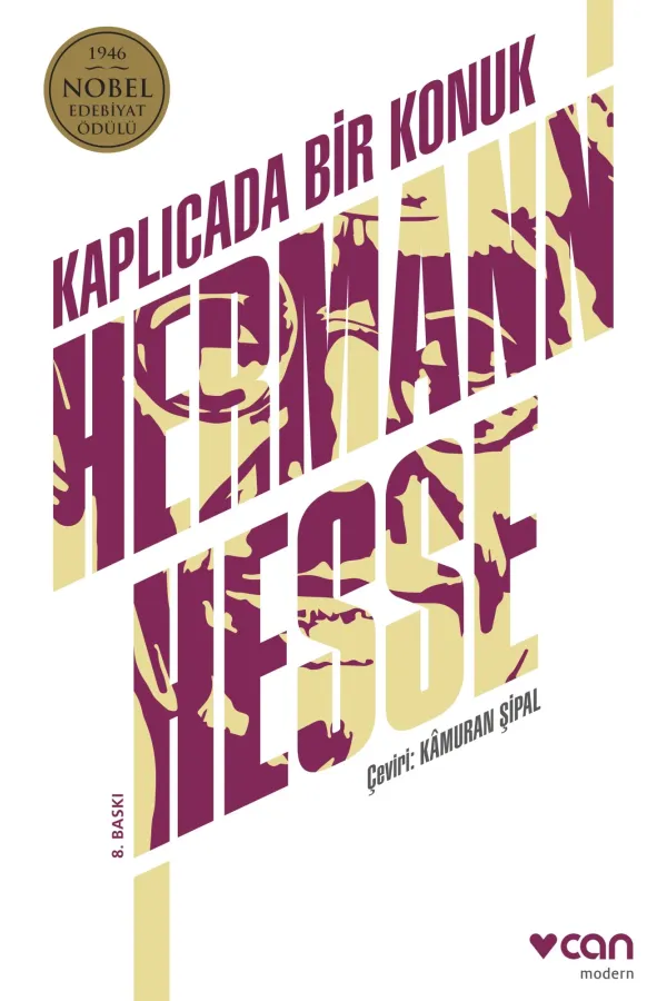 Kaplıcada Bir Konuk (Yeni Kapak)