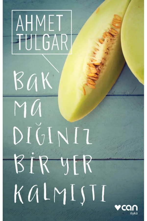 Bakmadığınız Bir Yer Kalmıştı