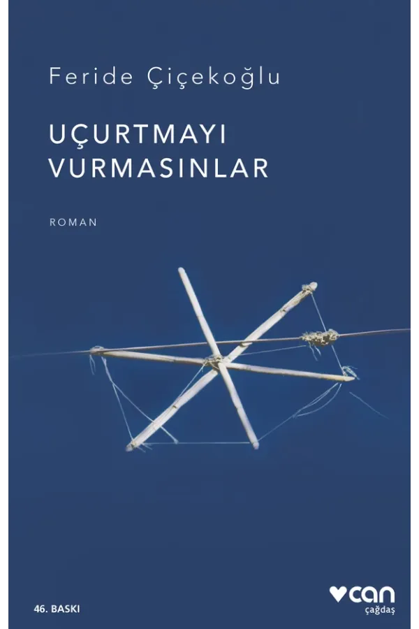 Uçurtmayı Vurmasınlar (Yeni Kapak)