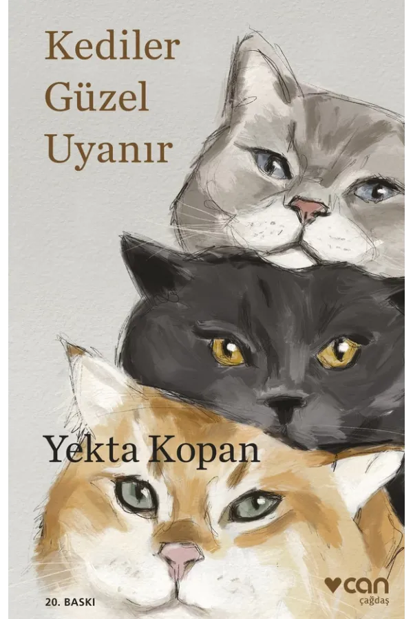 Kediler Güzel Uyanır (Yeni Kapak)