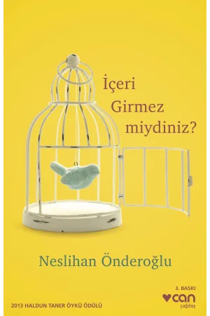 İçeri Girmez Miydiniz?
