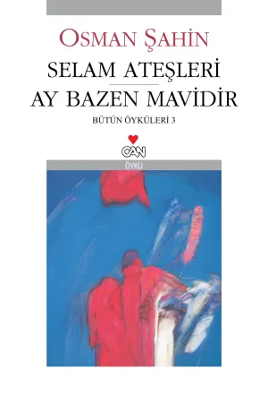 Türk Edebiyatı