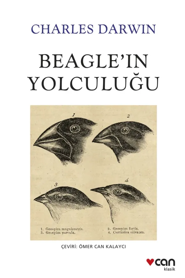 Beagle'In Yolculuğu