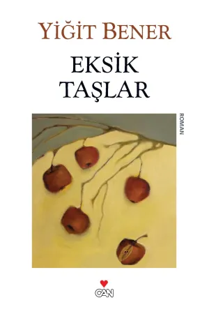 Eksik Taşlar | Albatros Kitap