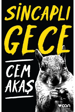 Sincaplı Gece