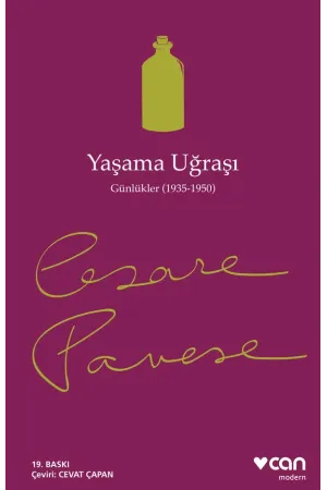 Yaşama Uğraşı (Yeni Kapak)