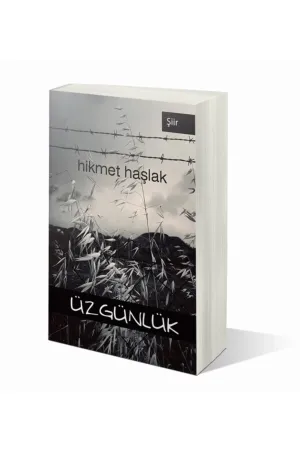 Üzgünlük