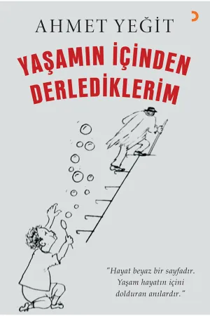 Anı, Biyografi & Mektup