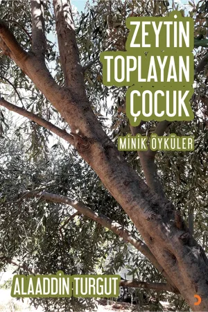 Öykü