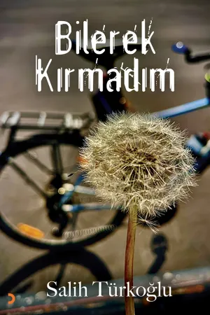 Öykü