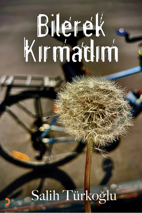 Bilerek Kırmadım