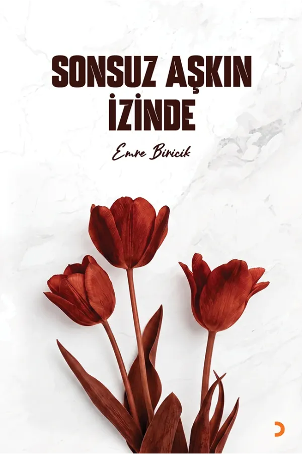 Sonsuz Aşkın İzinde
