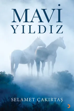 Mavi Yıldız