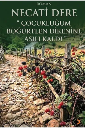 Çocukluğum Böğürtlen Dikenine Asılı Kaldı