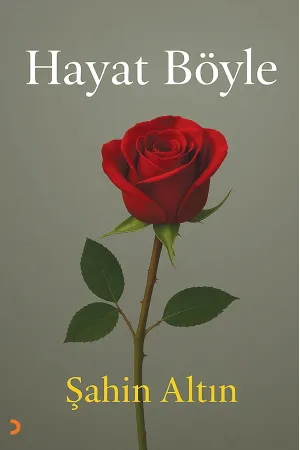 Hayat Böyle