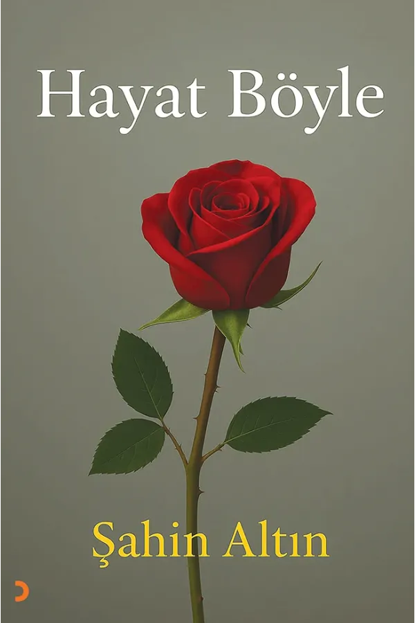 Hayat Böyle