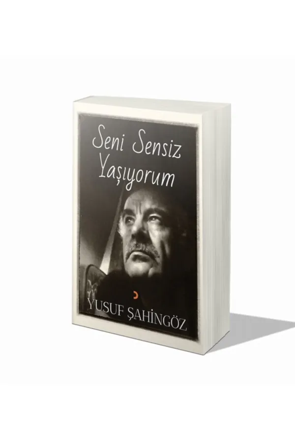 Seni Sensiz Yaşıyorum