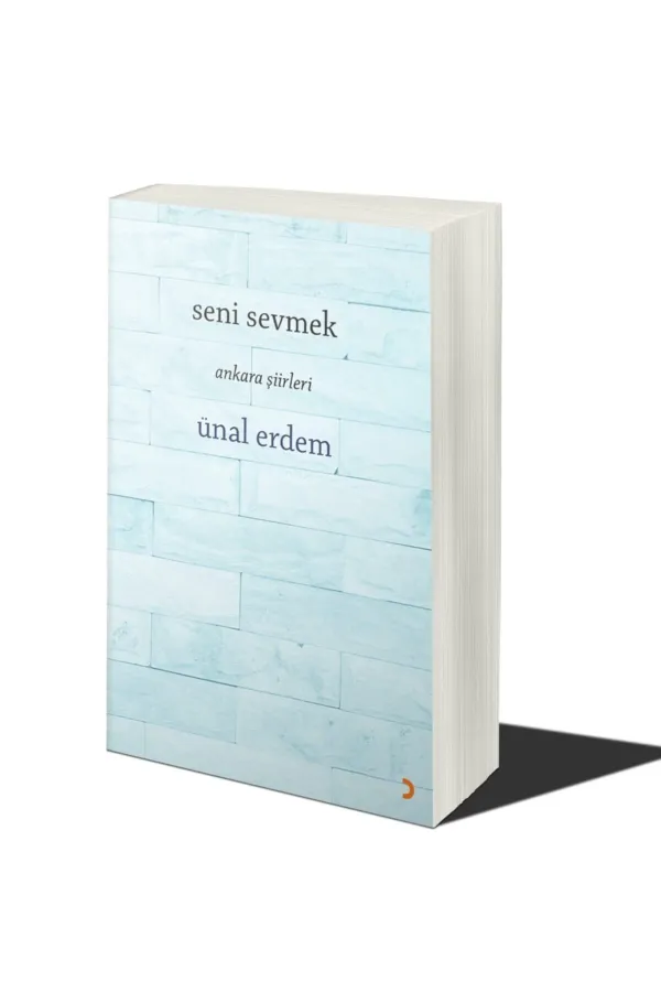 Seni Sevmek