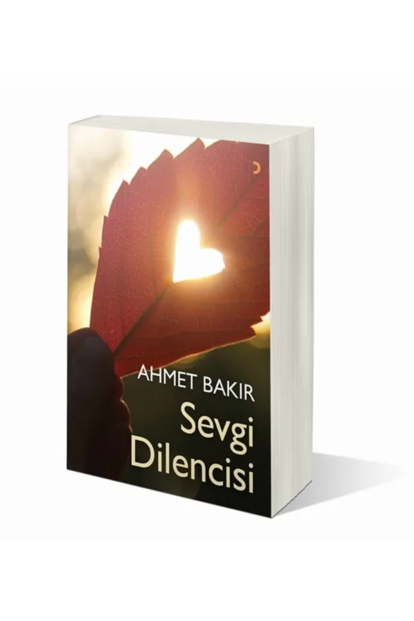 Sevgi Dilencisi