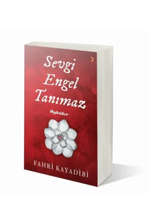 Sevgi Engel Tanımaz