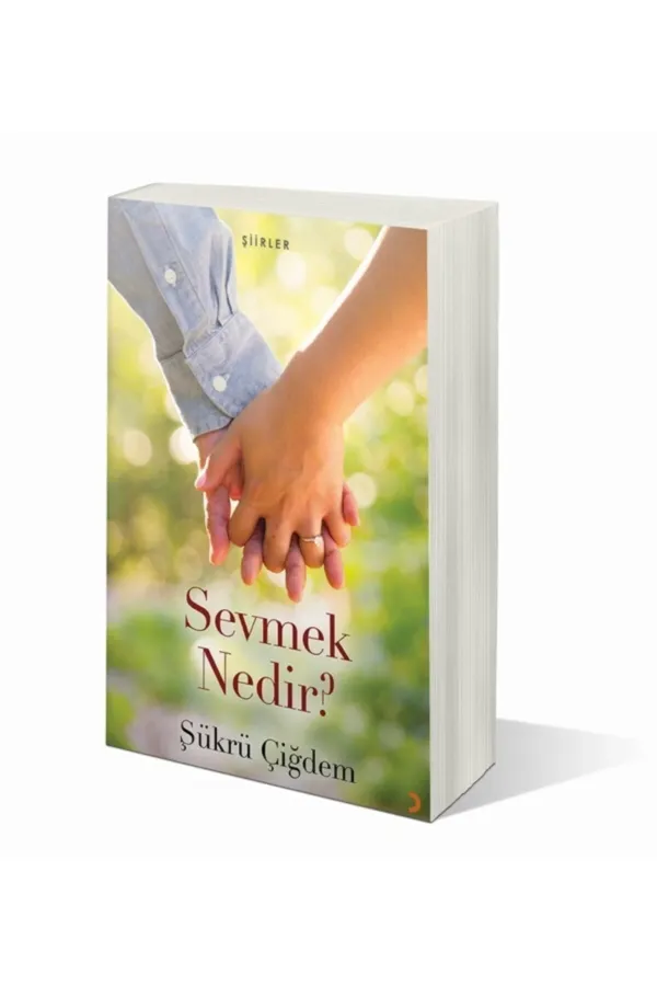 Sevmek Nedir?
