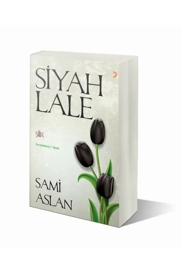 Siyah Lale