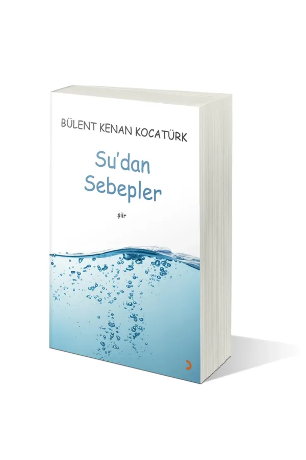Su'dan Sebepler