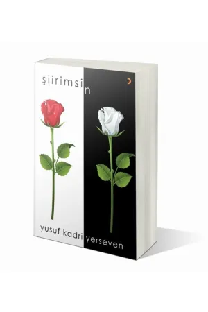 Şiirimsin