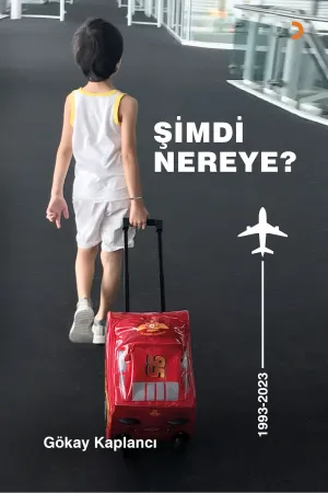 Şimdi Nereye?